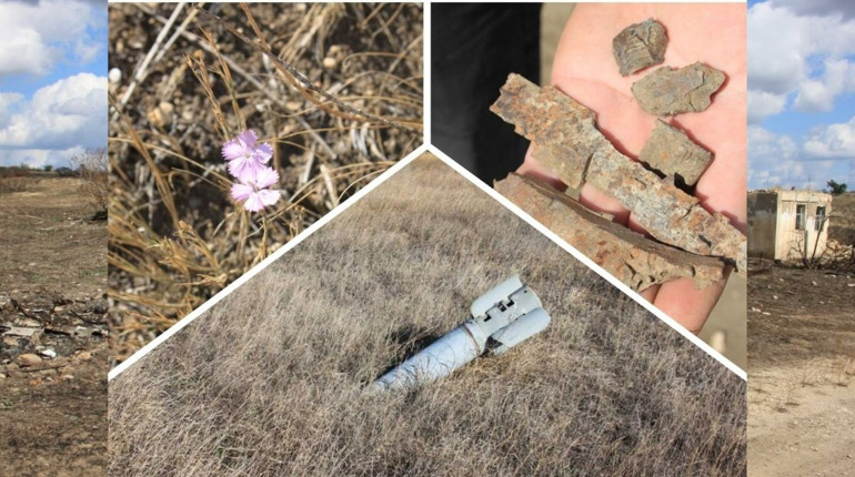 «Тварини не знають, що тут була війна»: фахівці «Бузького Гарду» дослідили екосистеми Миколаївщини