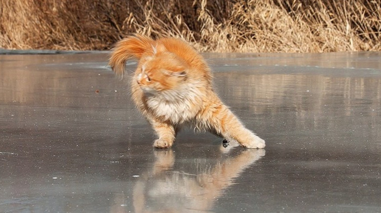 Погода на лівобережжі Херсонщини з 29 по 31 січня: прогноз Українського гідрометеоцентру