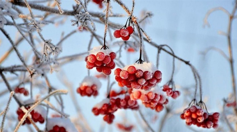 Що зміниться для українців з 1 лютого 2026 року: виплати, бронювання, відпустки