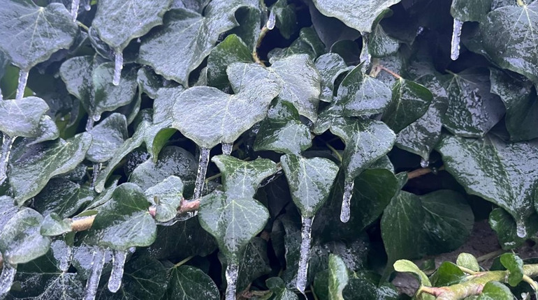 Коли зима зустрічається з весною: історія, традиції та прикмети на Стрітення