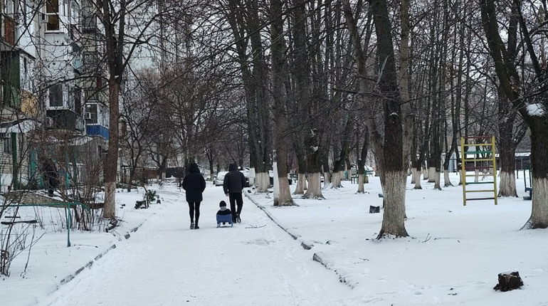 Коли минуть морози і прийде тепло: що віщує бабак Тимко IV та прогнозують синоптики