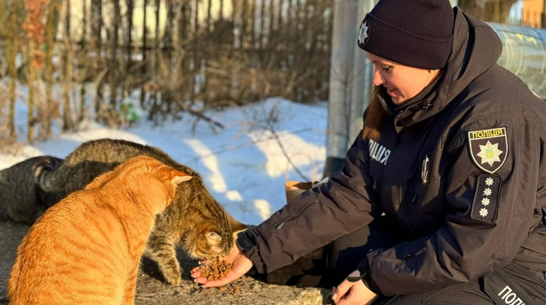 Поліцейські й прості люди в Корюківці допомагають вижити взимку безпритульним тваринам