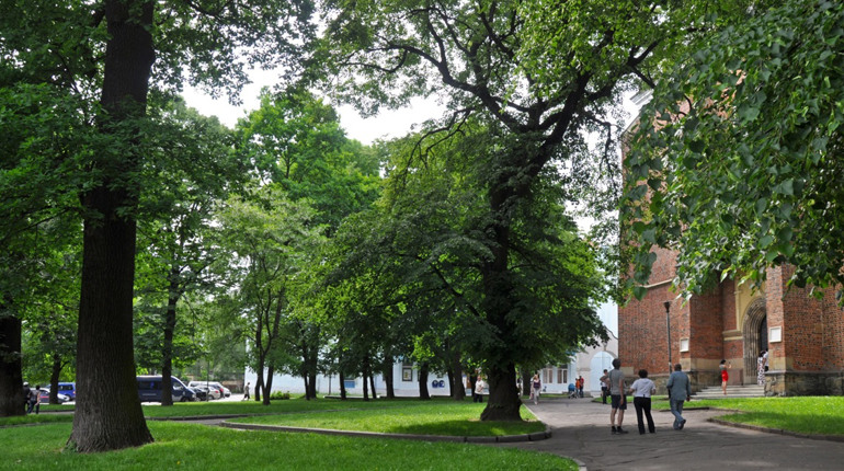 У Дрогобицькій громаді хочуть капітально відремонтувати сквери, але мають долучитися мешканці