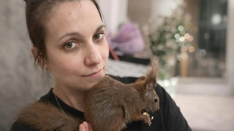 Руді хвостики потребують підтримки: прихисток вивірок з Київщини просить про допомогу