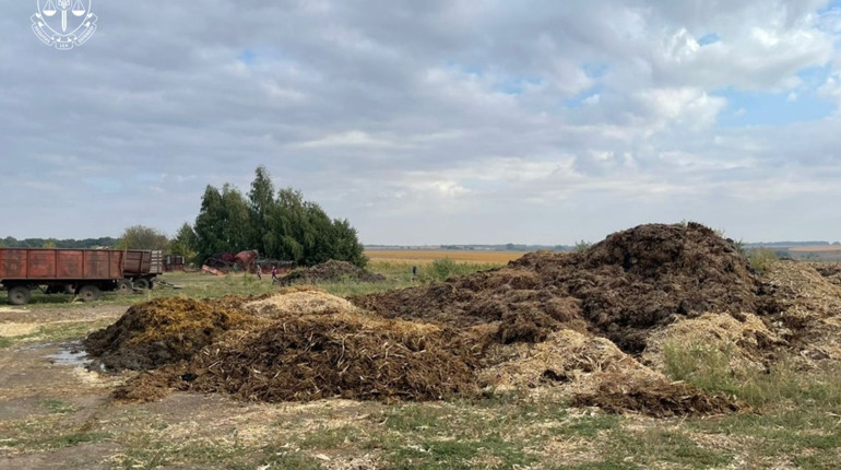 У Миргородському районі судитимуть керівника підприємства за забруднення земель