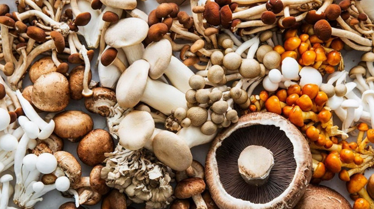 На Черкащині зафіксували перший цьогорічний випадок отруєння грибами