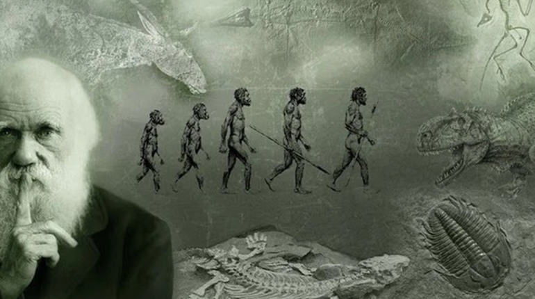 12 лютого: День Дарвіна та інші дати, події, свята, народні прикмети