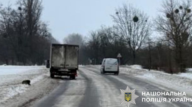 У Фастові водій під час обгону збив пішохода: правоохоронці розслідують обставини ДТП