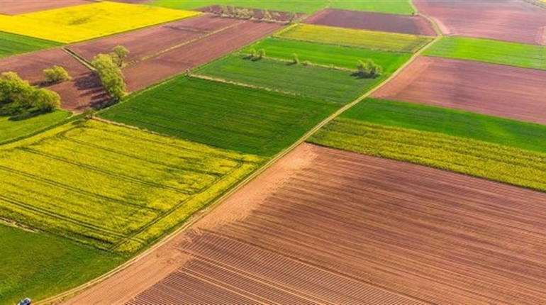 Незаконна реєстрація землі в Миргородському районі: посадовицю засудили до п’яти років