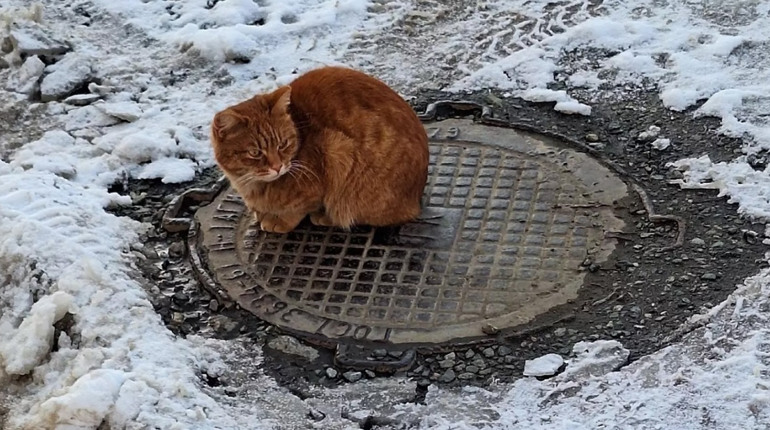 Погода на лівобережжі Херсонщини з 16 по 18 серпня: прогноз Українського гідрометеоцентру