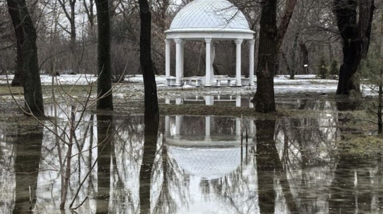 Луганськ після відлиги пішов під воду: окупанти називають це “Венецією”, — ФОТО