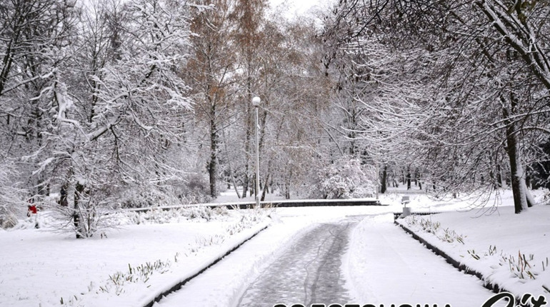 На Черкащині очікують значний сніг та хуртовини: прогноз на 19–20 лютого