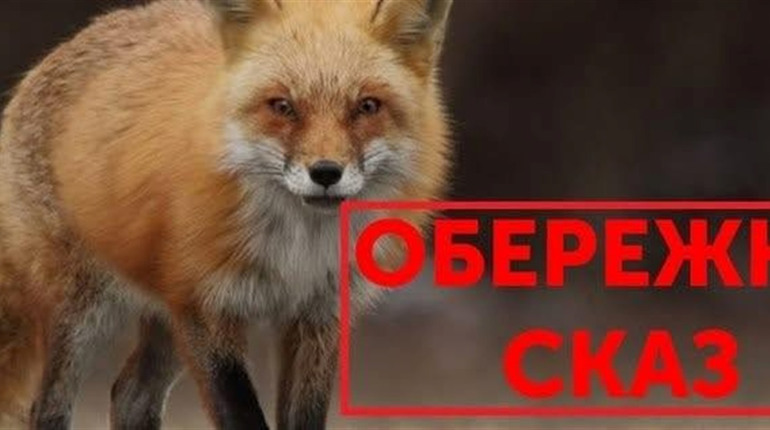 Сказ у центрі Звягеля: карантинна зона охопила вісім вулиць