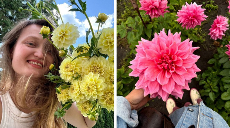 Краса у квітах: «Жоржинове поле» фастівчанки Анастасії Гаєвської