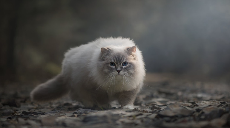 Погода на лівобережжі Херсонщини з 22 по 24 лютого: прогноз Українського гідрометеоцентру