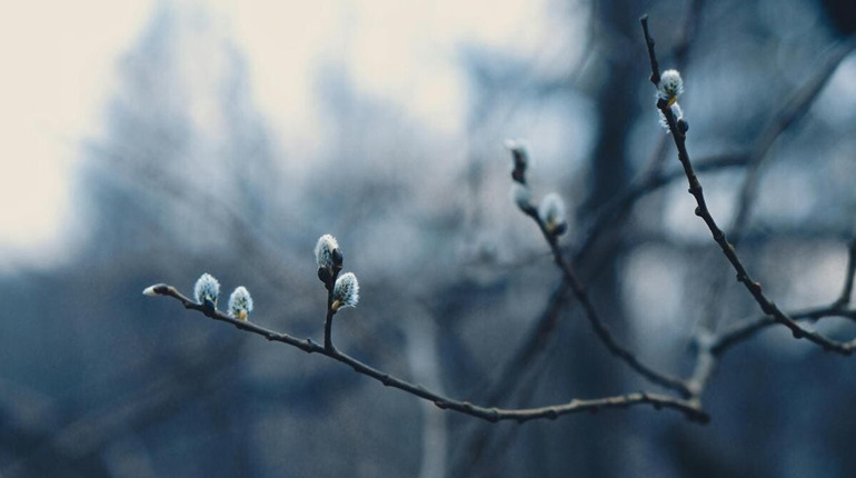 Якою буде погода у Гадячі в останню неділю лютого
