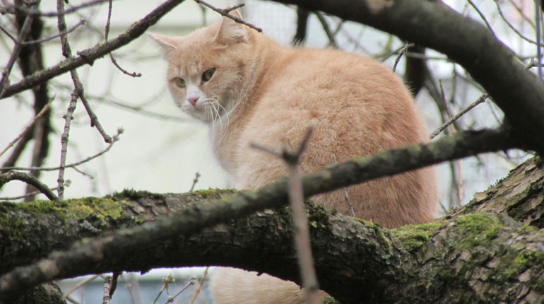 Погода на лівобережжі Херсонщини з 25 по 27 лютого: прогноз Українського гідрометеоцентру