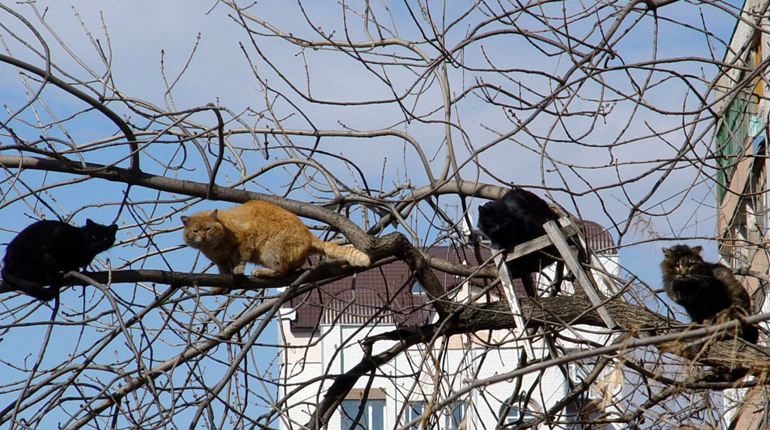 Погода на лівобережжі Херсонщини з 28 лютого по 2 березня: прогноз Українського гідрометеоцентру