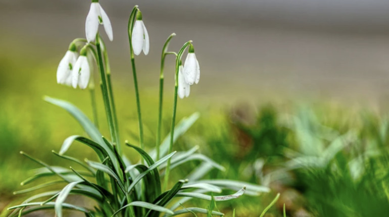 Погода на тиждень: чого чекати – тепла чи морозів