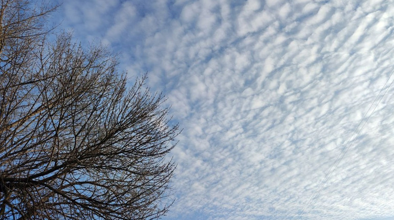 Буде і тепло, і морози, і дощ, і сніг: мінлива погода у Первомайську на початку березня