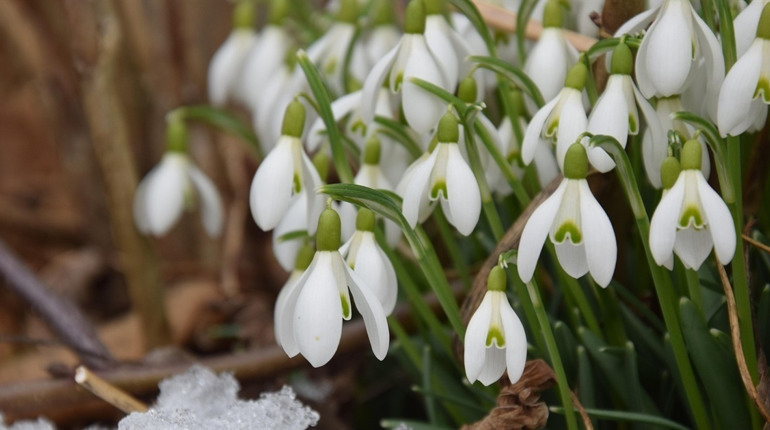 Березень 2026: Ключові зміни в соціальних виплатах, мобілізації та економіці