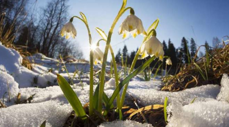 З 1 березня 2026 року: головні зміни для українців, які потрібно знати
