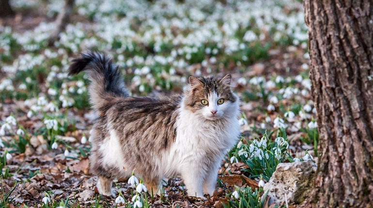 Погода на лівобережжі Херсонщини з 4 по 6 березня: прогноз Українського гідрометеоцентру