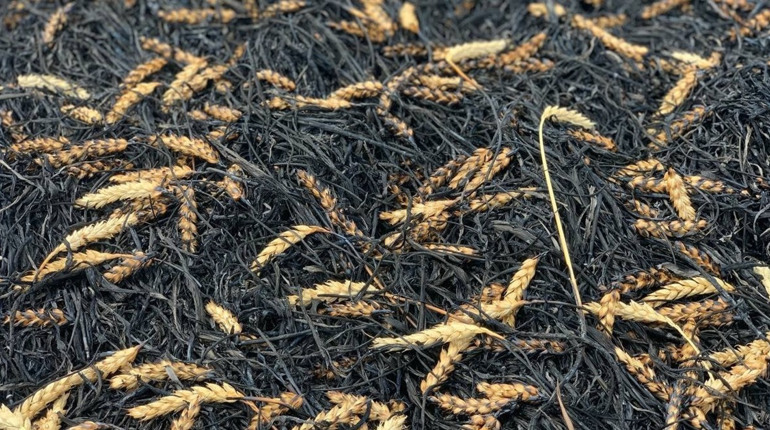 Уряд затвердив механізм визначення зон ризикованого землеробства