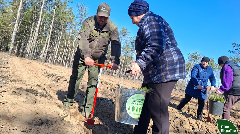 Там, де палало — тепер ростиме: на Херсонщині висаджують ліс
