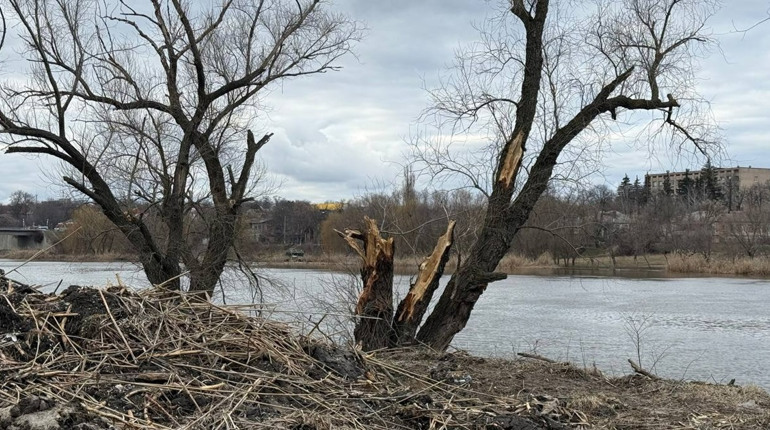 Що відбувається біля центрального пляжу у Первомайську: відповідь мерії