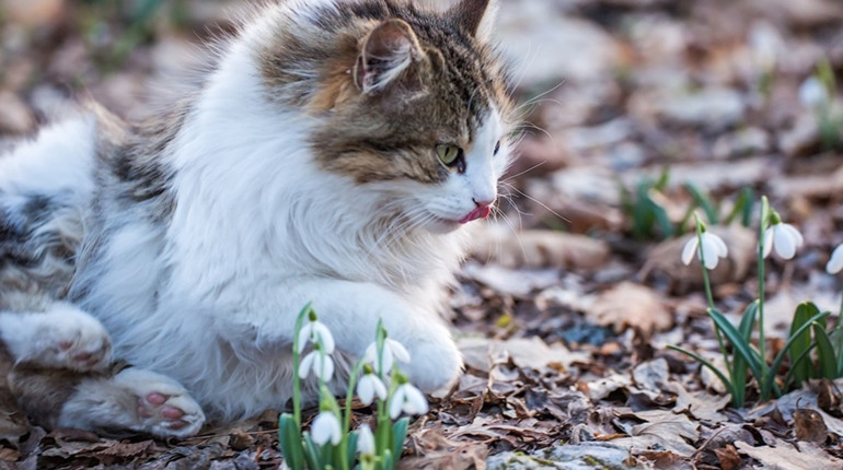 Погода на лівобережжі Херсонщини з 7 по 9 березня: прогноз Українського гідрометеоцентру