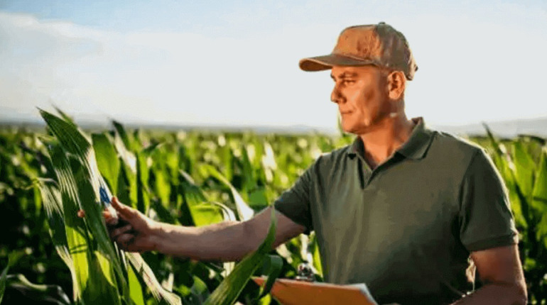 Ринок праці у Старокостянтинові: актуальні пропозиції роботи