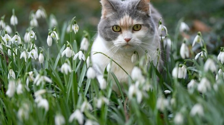 Погода на лівобережжі Херсонщини з 11 по 13 березня: прогноз Українського гідрометеоцентру