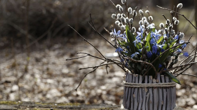 У Гадячі хмарно та вітряно: прогноз погоди на тиждень