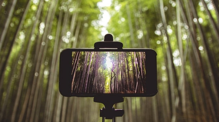 16 березня: День без селфі, День панди та побутового обслуговування, інші дати, свята, події