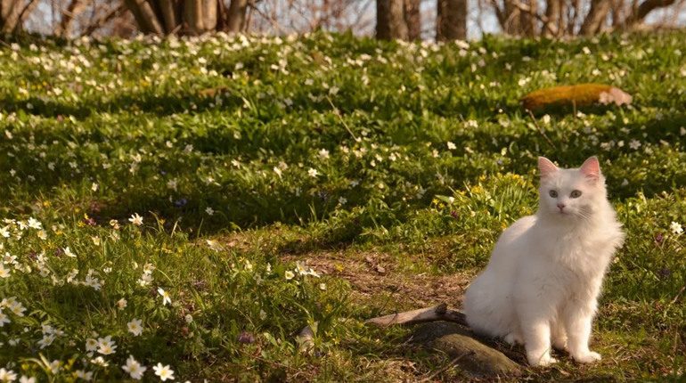 Погода на лівобережжі Херсонщини з 17 по 19 березня: прогноз Українського гідрометеоцентру