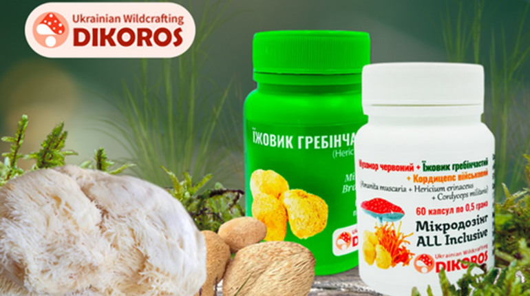 Чи допомагає мікродозинг грибів боротися з залежністю?