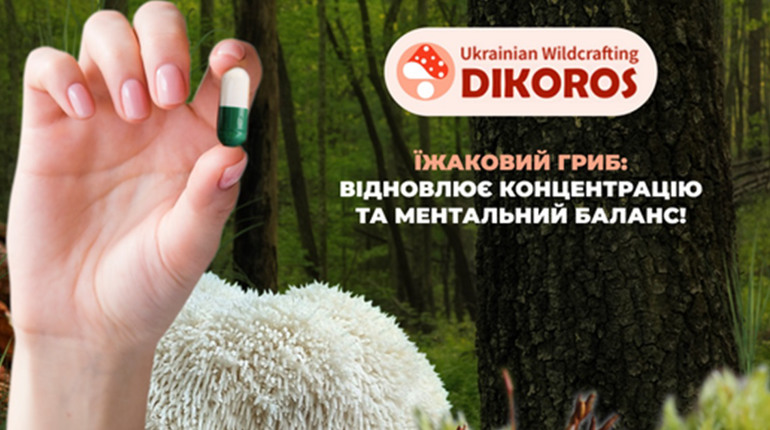 Чому їжаковий гриб вважається грибом не стимулятором, а відновлювачем мислення?