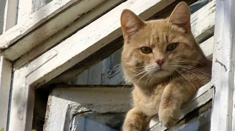 Погода на лівобережжі Херсонщини з 20 по 22 березня: прогноз Українського гідрометеоцентру