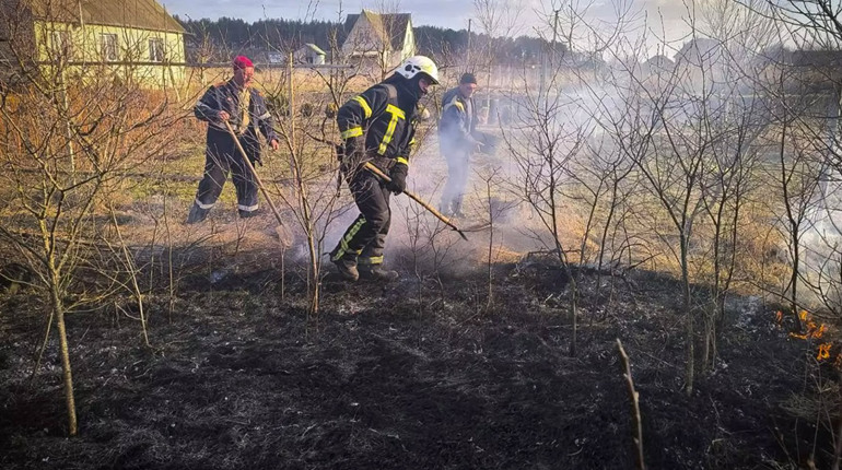 На Фастівщині за день сталося кілька пожеж сухостою