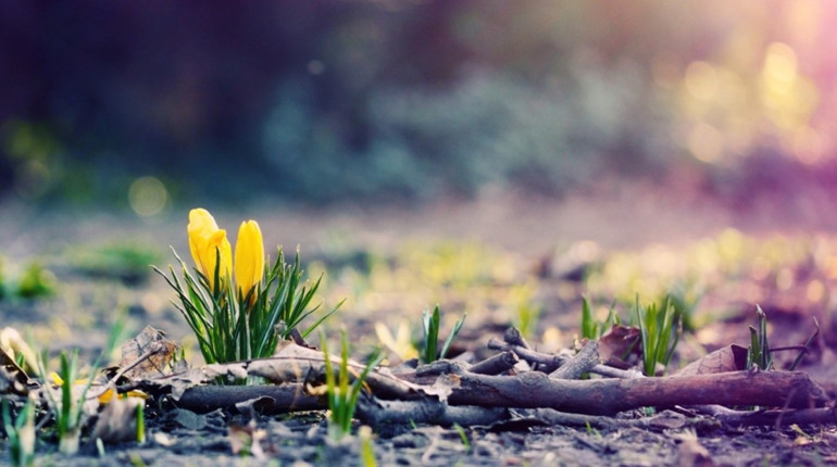 Погода у Гадячі на тиждень: коли чекати дощів та потепління до +15 градусів