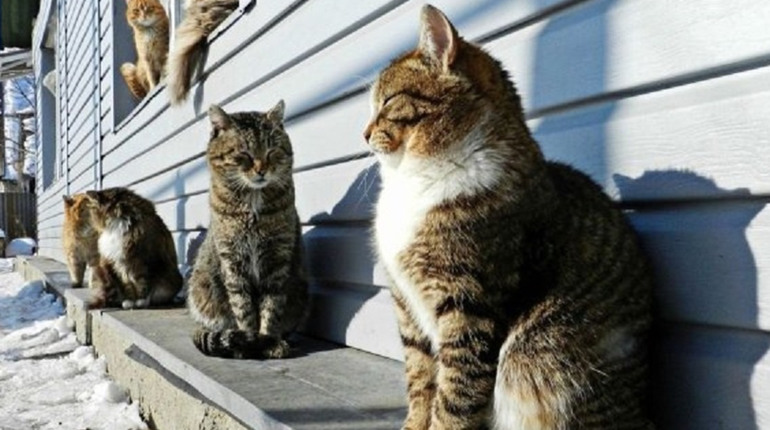 Погода на лівобережжі Херсонщини з 23 по 26 березня: прогноз Українського гідрометеоцентру