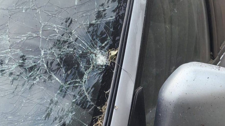 На Глухівщині дрон вдарив по авто чоловіка, який їхав в Есмань забирати худобу