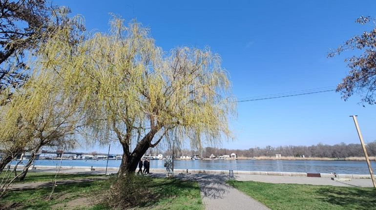 Благовіщення 25 березня: що означає свято та які традиції збереглися