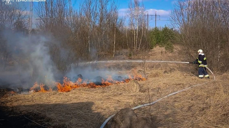 Три пожежі за день на Кременеччині