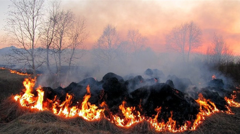 У Петрівсько-Роменській громаді пд час спалювання листя загинула літня жінка