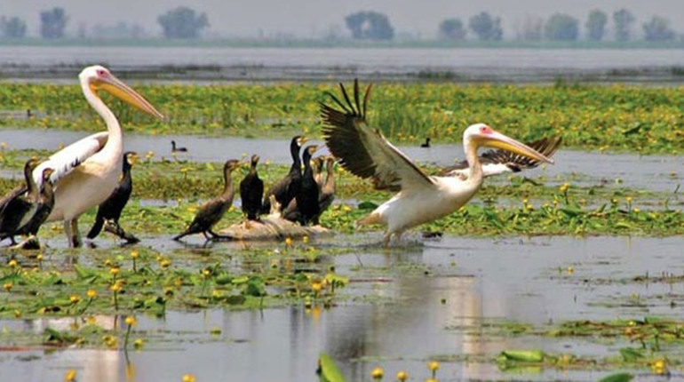 У Біляївській громаді стартують два проєкти з відновлення річки Турунчук та озера Біле