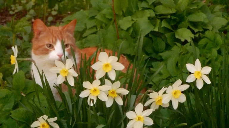 Погода на лівобережжі Херсонщини з 27 по 29 березня: прогноз Українського гідрометеоцентру