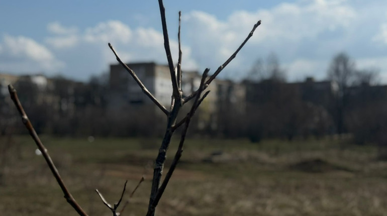 Стіни будуть — залишилося головне: Первомайськ будує модульне містечко і вчиться на чужих помилках
