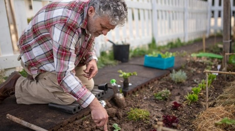 Місячний посівний календар на квітень 2026 року: що і коли садити